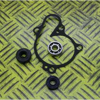 KIT JOINTS REPARATION POMPE A EAU HOT RODS YZF 250 01/13