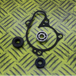 KIT JOINTS REPARATION POMPE A EAU HOT RODS YZF 250 01/13