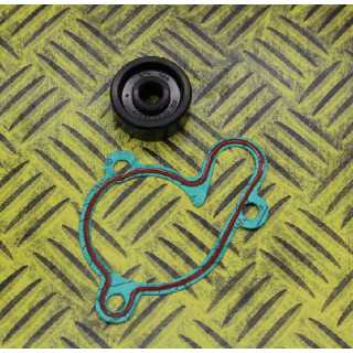 KIT JOINTS REPARATION POMPE A EAU HOT RODS YZF 250 01/13