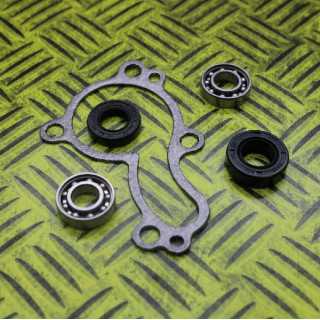 KIT JOINTS REPARATION POMPE A EAU HOT RODS YZF 250 01/13