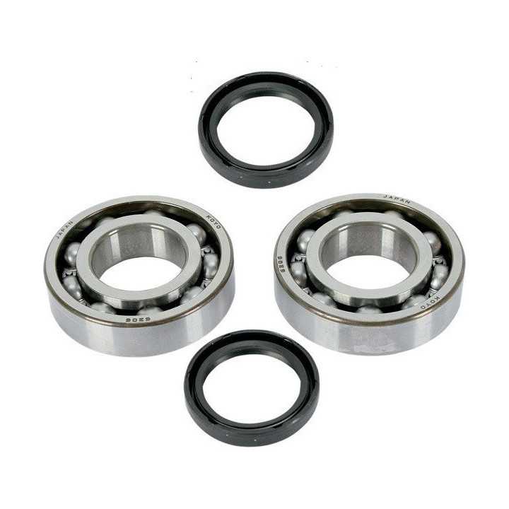 KIT ROULEMENTS ET SPYS DE VILEBREQUIN HOT RODS POUR RMZ 250 10-15