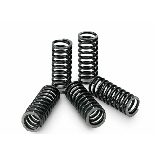 KIT RESSORTS D' EMBRAYAGE TECNIUM KTM SX 125 / EXC 125 / HUSQVARNA