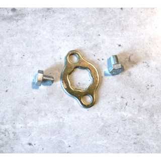 PLAQUE DE FIXATION ET VIS PIGNON DIAMETRE 17 YCF BASTOS APOLLO GUNSHOT 125 140 150