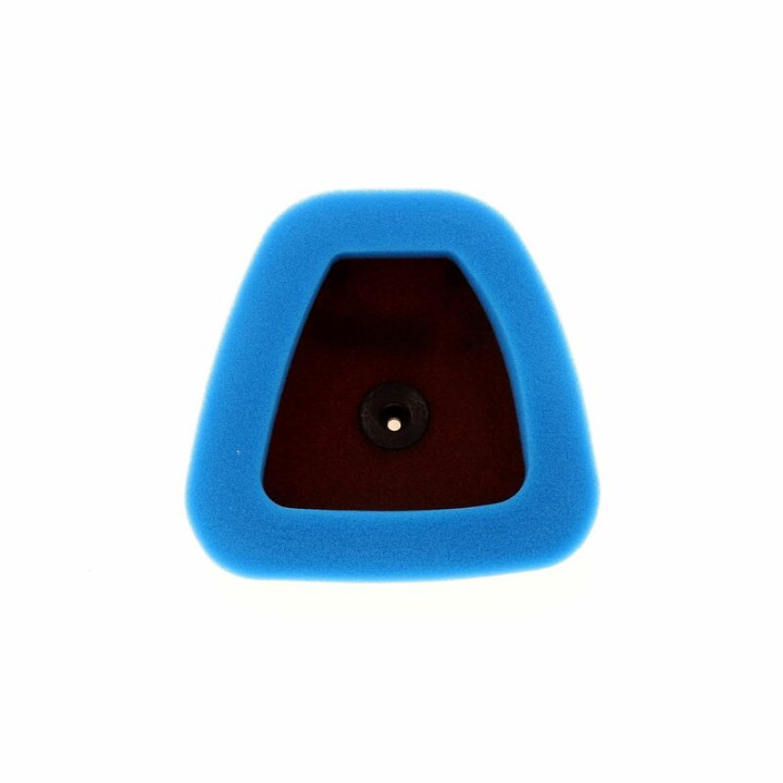 FILTRE A AIR TECNIUM WRF 250 2015/18