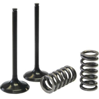 KIT CONVERSION SOUPAPE ADMISSION TITANE EN ACIER PROX KXF 250 04/06