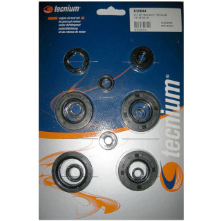 POCHETTE JOINTS SPY BAS MOTEUR TECNIUM YZ 125 05/06