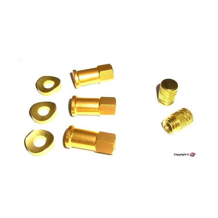 KIT CAPUCHONS VALVES GRIPSTER